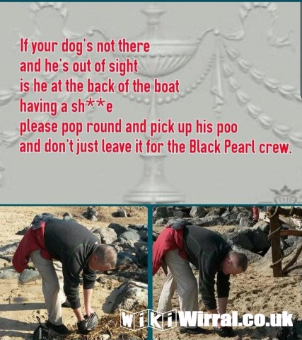 Attached picture Black Pearl poo.jpg